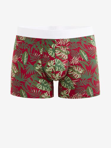 Celio Dipalm Boxer shorts Red - Celio - Modalova