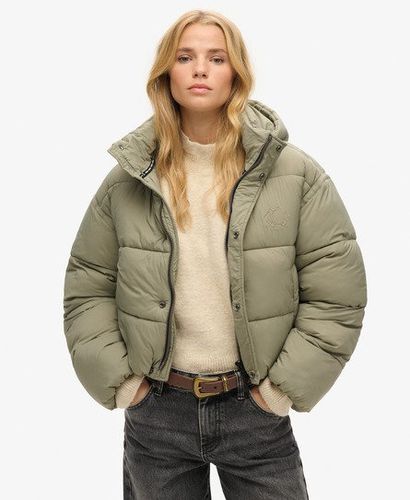 Women's Kurze Cocoon Steppjacke - Größe: 44 - Superdry - Modalova