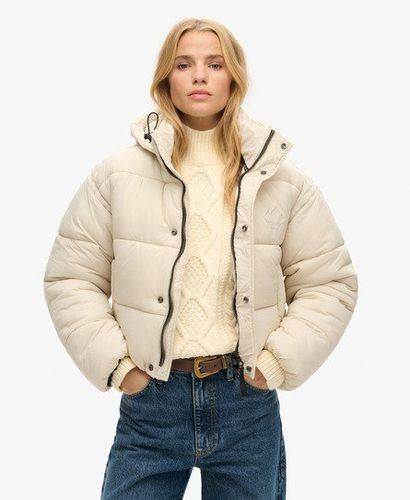 Women's Kurze Cocoon Steppjacke - Größe: 40 - Superdry - Modalova