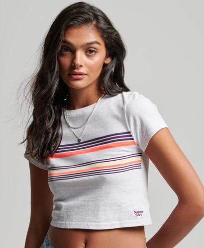 Women's Vintage Stripe Crop T-Shirt Grey / Cali Purple/Grey Stripe - Size: 12 - Superdry - Modalova