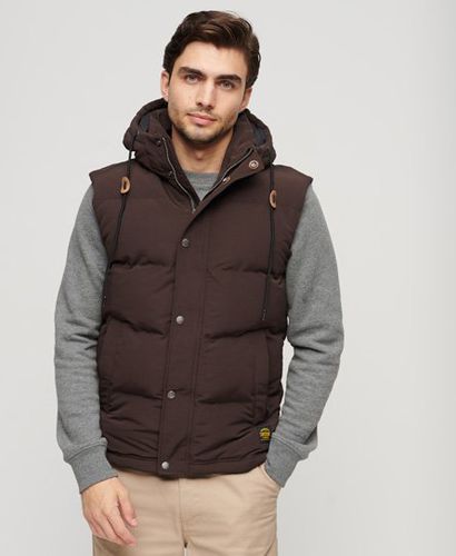 Men's Everest Hooded Puffer Gilet Brown / Dark Brown - Size: M - Superdry - Modalova