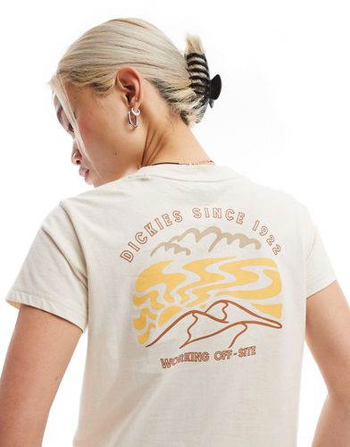 Saltville - T-shirt corta beige - Dickies - Modalova