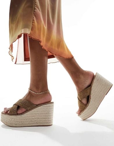 Jelisa-R - Sandali espadrilles color bronzo con fascette decorate - Steve Madden - Modalova