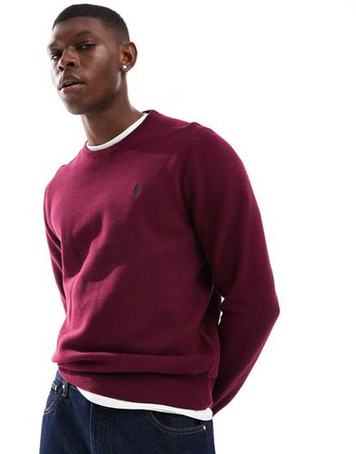 Icon - Maglione bordeaux in cotone con logo - Polo Ralph Lauren - Modalova