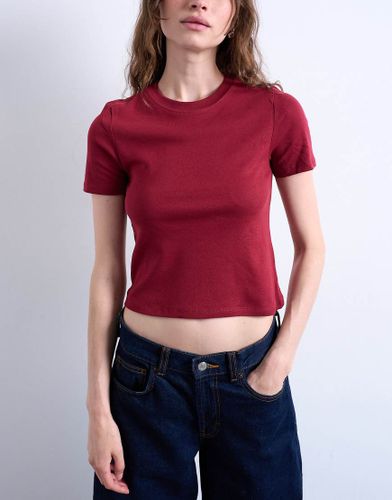 Everyday - T-shirt effet rétréci - baie - Topshop - Modalova