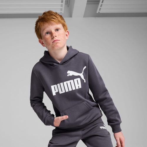 Essentials Big Logo Hoodie Youth, Galactic Grey, size 13-14 Youth - PUMA - Modalova