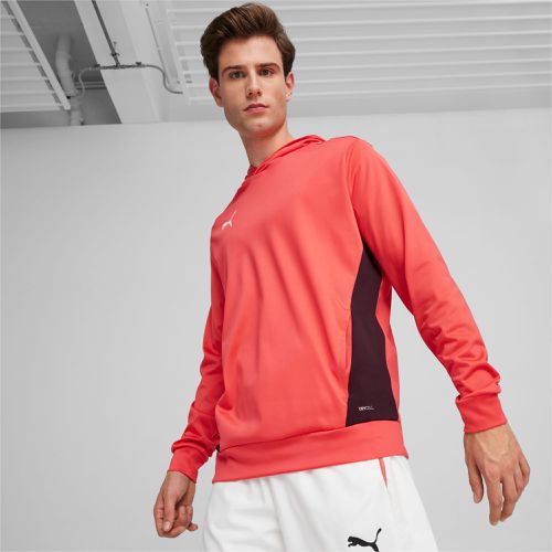 Individual Padel Hoodie Herren, /, Größe: 3XL, Kleidung - PUMA - Modalova