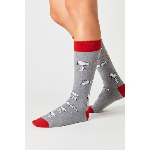 Calcetines altos de algodón orgánico color gris - Besocks - Modalova
