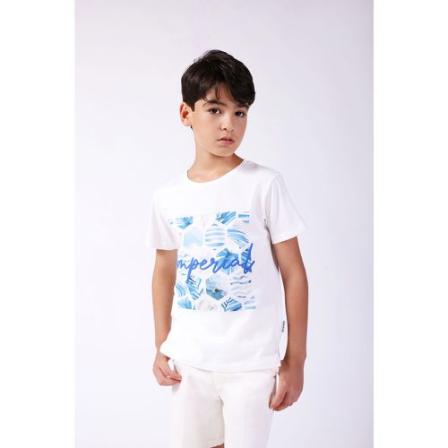 T-shirt bambino in puro cotone monocolour con stampa - Imperial - Modalova