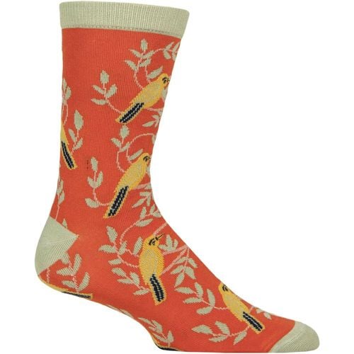 Mens and Women's 1 Pair Shared Earth Fair Trade Indian Inspired Bamboo Socks Birds UK 7-12 - SockShop - Modalova