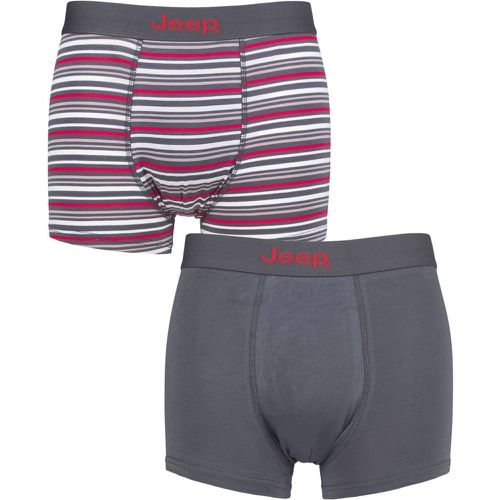 Mens 2 Pack Plain and Fine Striped Fitted Bamboo Trunks Charcoal / Berry Extra Large - Jeep - Modalova