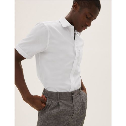 Pure Cotton Regular Fit Non-Iron Shirt - Marks & Spencer - Modalova