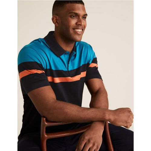 Pure Cotton Striped Polo Shirt navy - Marks & Spencer - Modalova