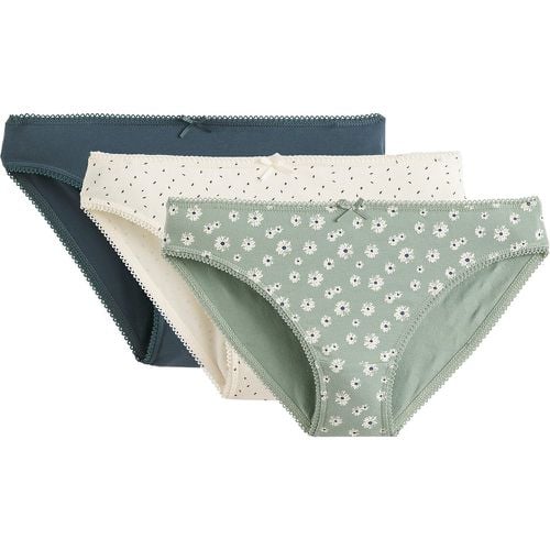 Pack of 3 Knickers in Stretch Cotton - LA REDOUTE COLLECTIONS - Modalova