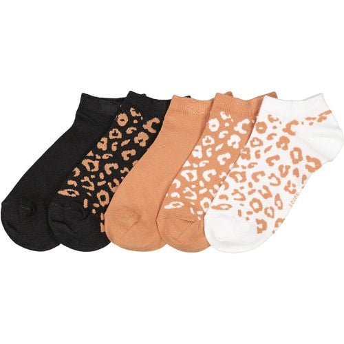 Pack of 5 Pairs of Socks in Animal Print Cotton Mix - LA REDOUTE COLLECTIONS - Modalova