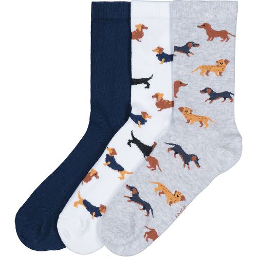 Pack of 3 Pairs of Socks in Cotton Mix, Dachshund Print - LA REDOUTE COLLECTIONS - Modalova