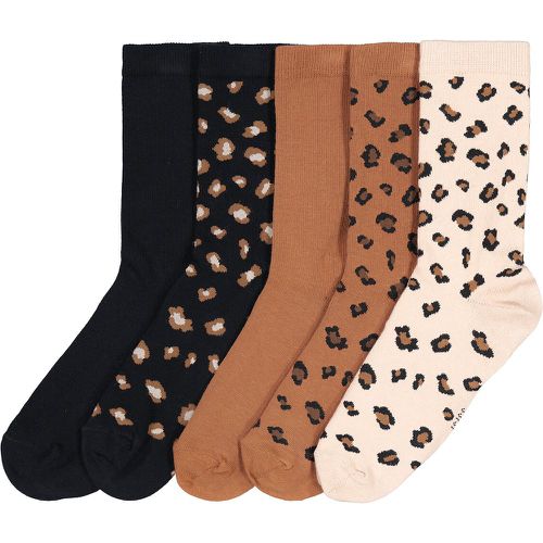 Pack of 5 Pairs of Socks in Cotton Mix - LA REDOUTE COLLECTIONS - Modalova