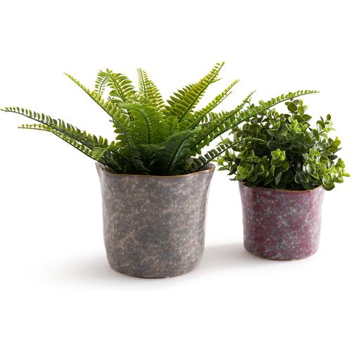 Set of 2 Oasia 13cm & 17cm Diameter Ceramic Flower Pots - LA REDOUTE INTERIEURS - Modalova