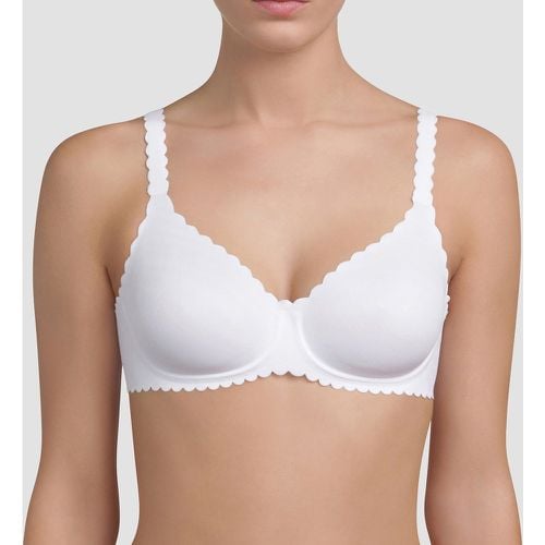 Body Touch Seamless Bra - Dim - Modalova