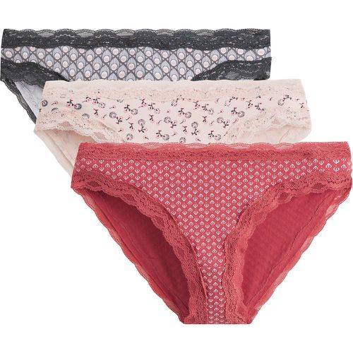 Pack of 3 Knickers in Cotton - LA REDOUTE COLLECTIONS - Modalova