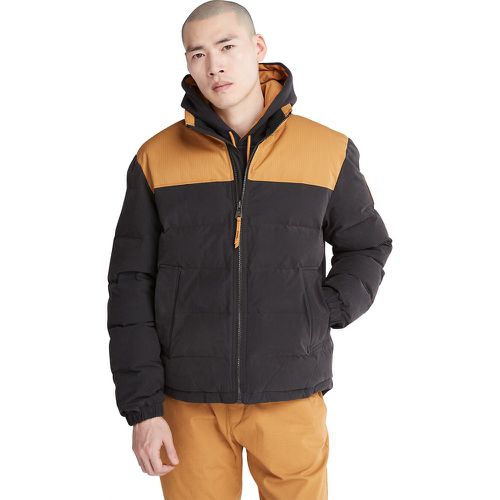 Two-Tone Padded Jacket in Cotton Mix - Timberland - Modalova