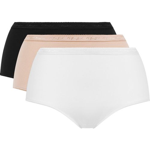 Pack of 3 Midi Knickers in Organic Cotton - Playtex - Modalova