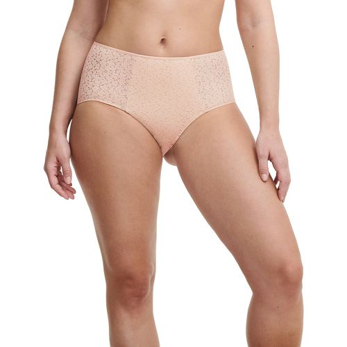 Norah Full Knickers with High Waist - Chantelle - Modalova