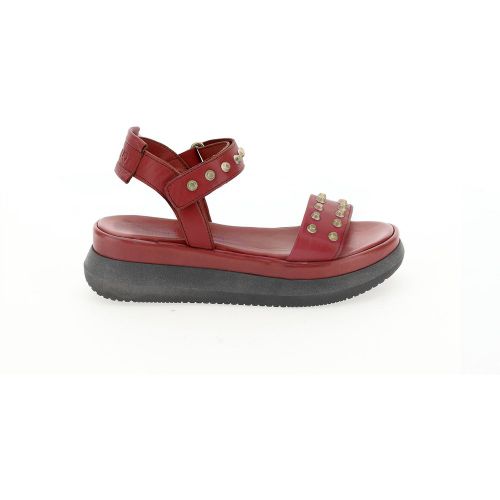 Leather Wedge Sandals - MJUS - Modalova