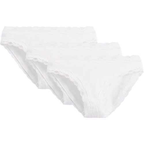 Pack of 3 Knickers in Cotton with Lace - LA REDOUTE COLLECTIONS - Modalova