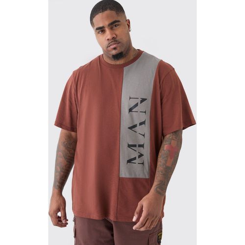 T-shirt Plus Size Man a blocchi di colore con caratteri romani color cioccolato - boohoo - Modalova