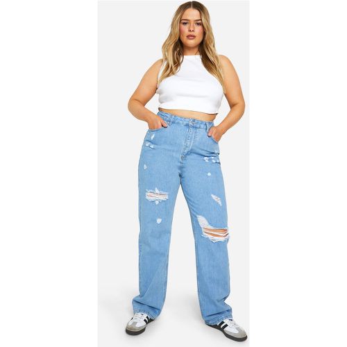 Jeans dritti Plus Size strappati - boohoo - Modalova