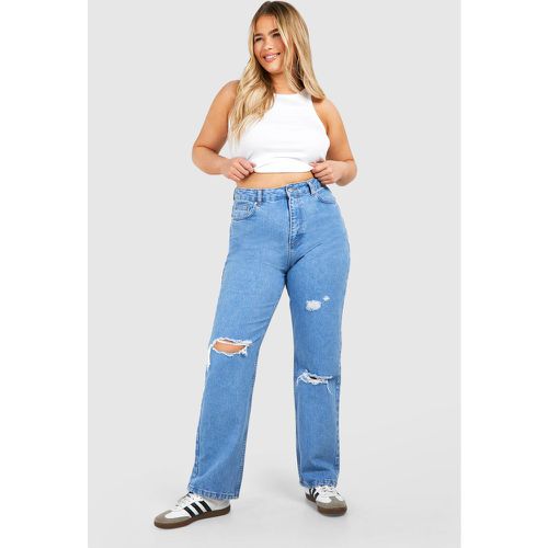 Jeans dritti Plus Size strappati - boohoo - Modalova