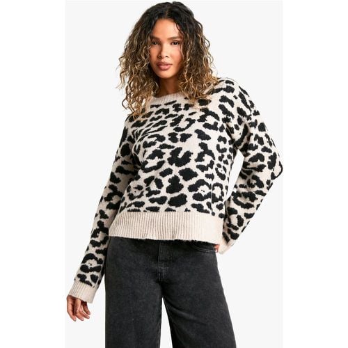 Maglione squadrato in maglia leopardata - boohoo - Modalova