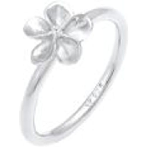 Ring Frangipani Blüte Blume Zirkonia 925 Silber (Farbe: Silber, Größe: 56 mm) - NENALINA - Modalova