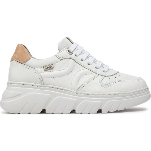 Sneakers Callaghan 51806 Bianco - Callaghan - Modalova