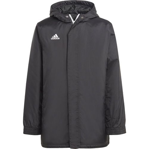 Parka Kind adidas Entrada Stadium - Adidas - Modalova