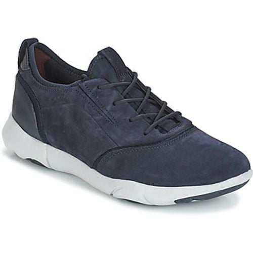 NEBULA S men's Shoes (Trainers) in - Geox - Modalova