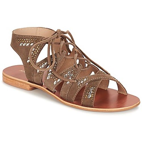 MAUPITI women's Sandals in - André - Modalova