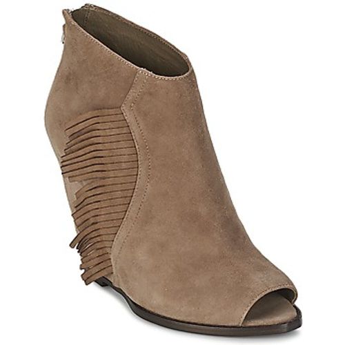 LYNX women's Low Ankle Boots in - Ash - Modalova