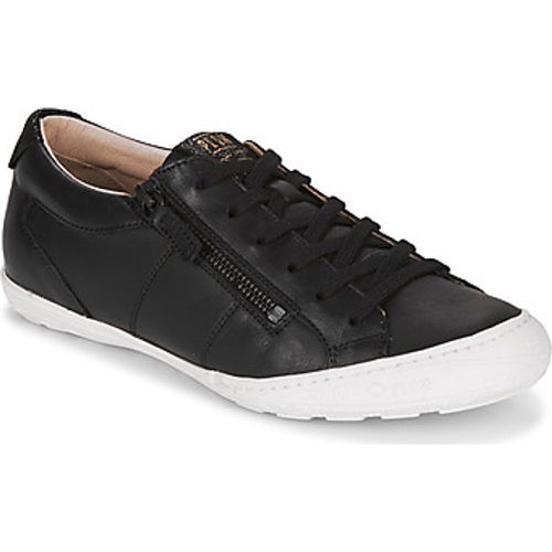 GALOPINE SVG women's Shoes (Trainers) in - Palladium - Modalova