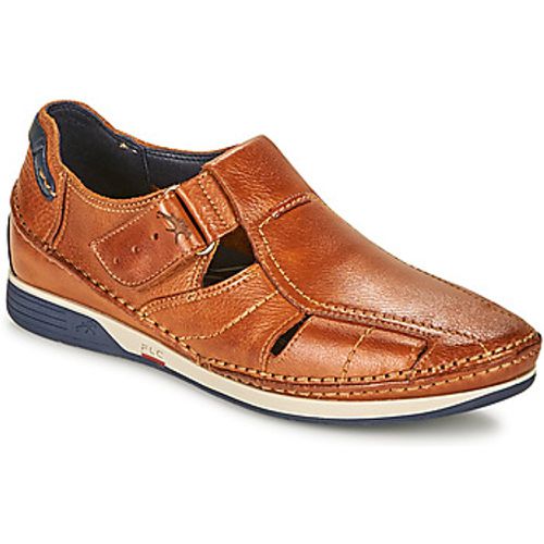 JAMES men's Sandals in - Fluchos - Modalova