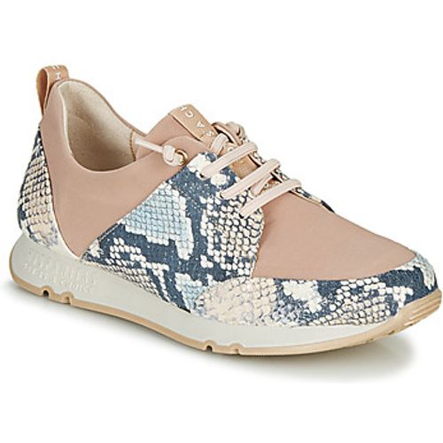 KIOTO women's Shoes (Trainers) in - Hispanitas - Modalova