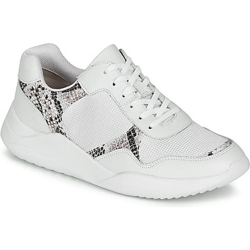 SIFT LACE women's Shoes (Trainers) in - Clarks - Modalova