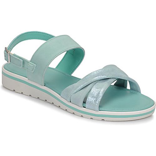 POLINE women's Sandals in - André - Modalova