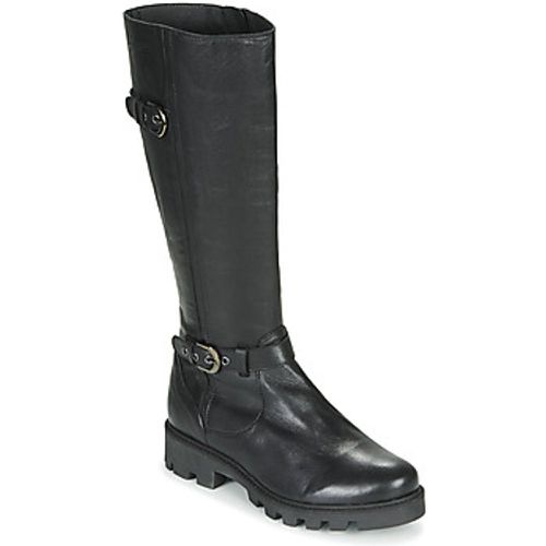 CORA F4F women's High Boots in - Pataugas - Modalova