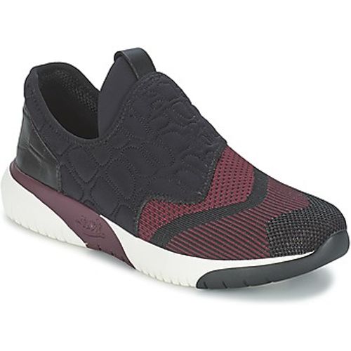 SODA women's Shoes (Trainers) in - Ash - Modalova