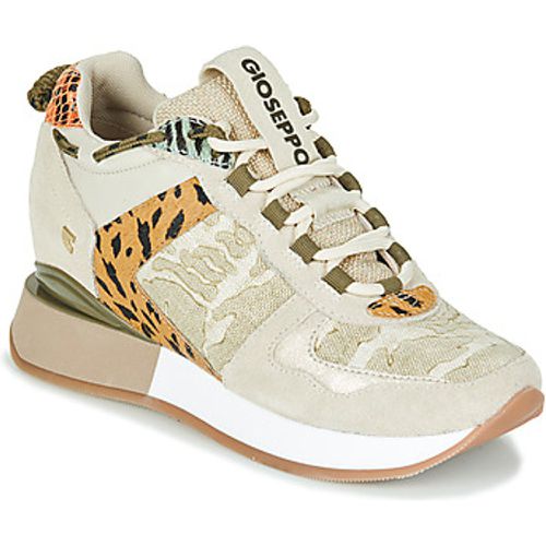 PATERSON women's Shoes (Trainers) in - Gioseppo - Modalova