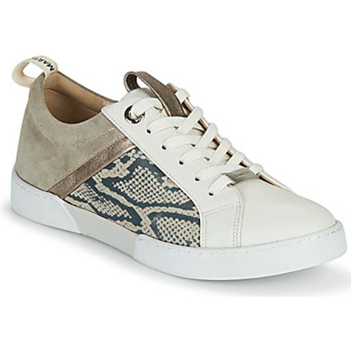 GELATO women's Shoes (Trainers) in - JB Martin - Modalova