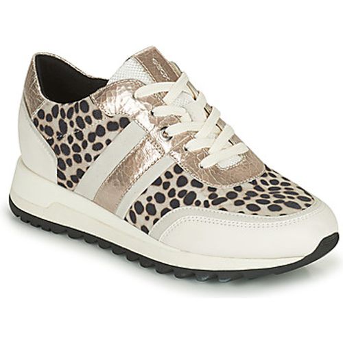 TABELYA women's Shoes (Trainers) in - Geox - Modalova