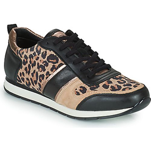 PARMINE women's Shoes (Trainers) in - Betty London - Modalova